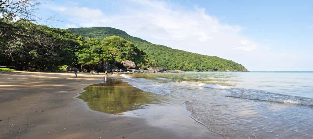 bai dam trau dia diem du lich vung tau attvut23