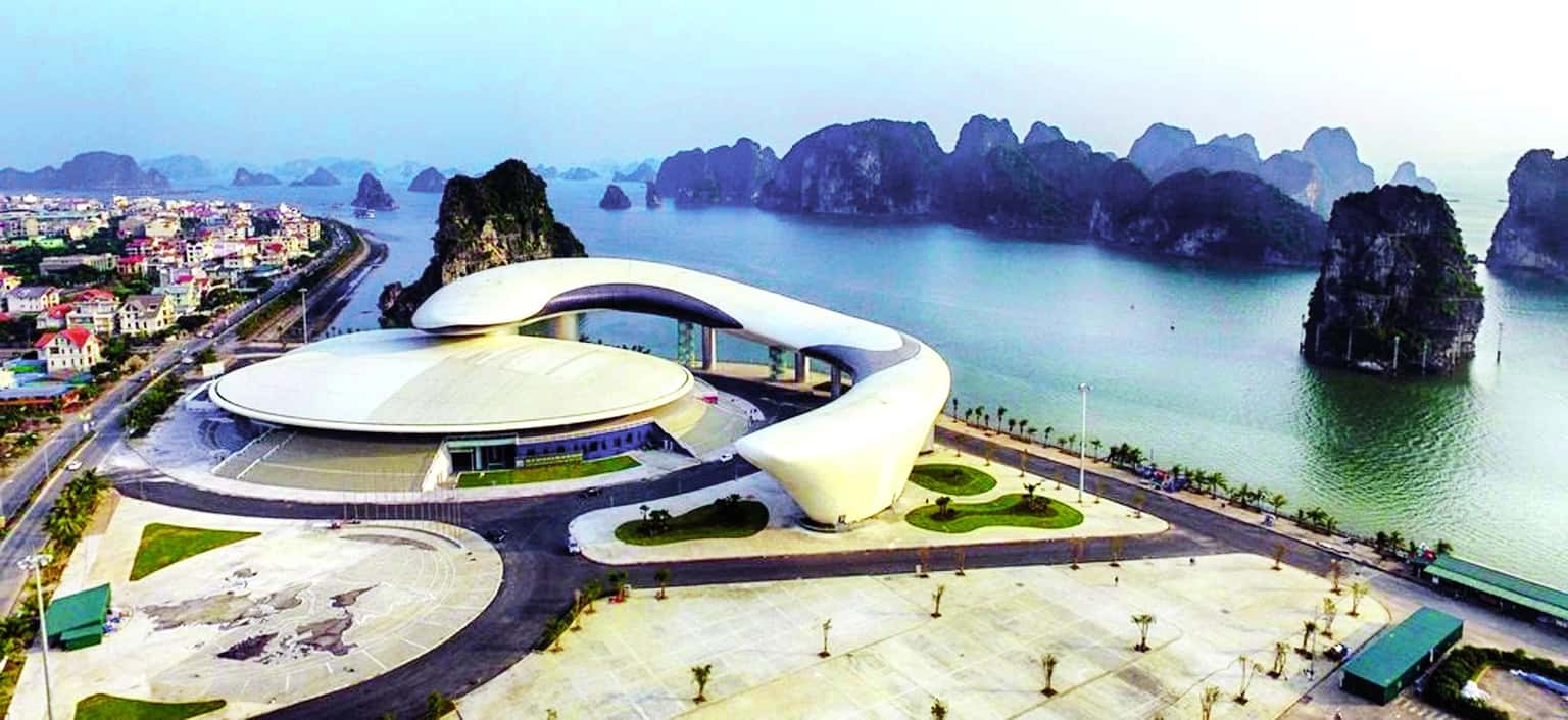 cung ca heo ha long