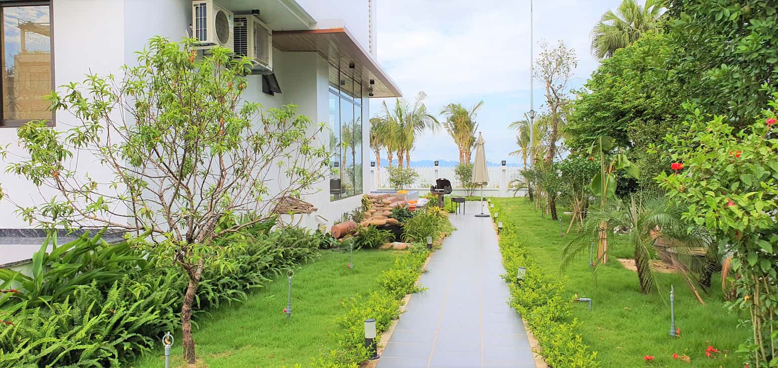 Lush green garden