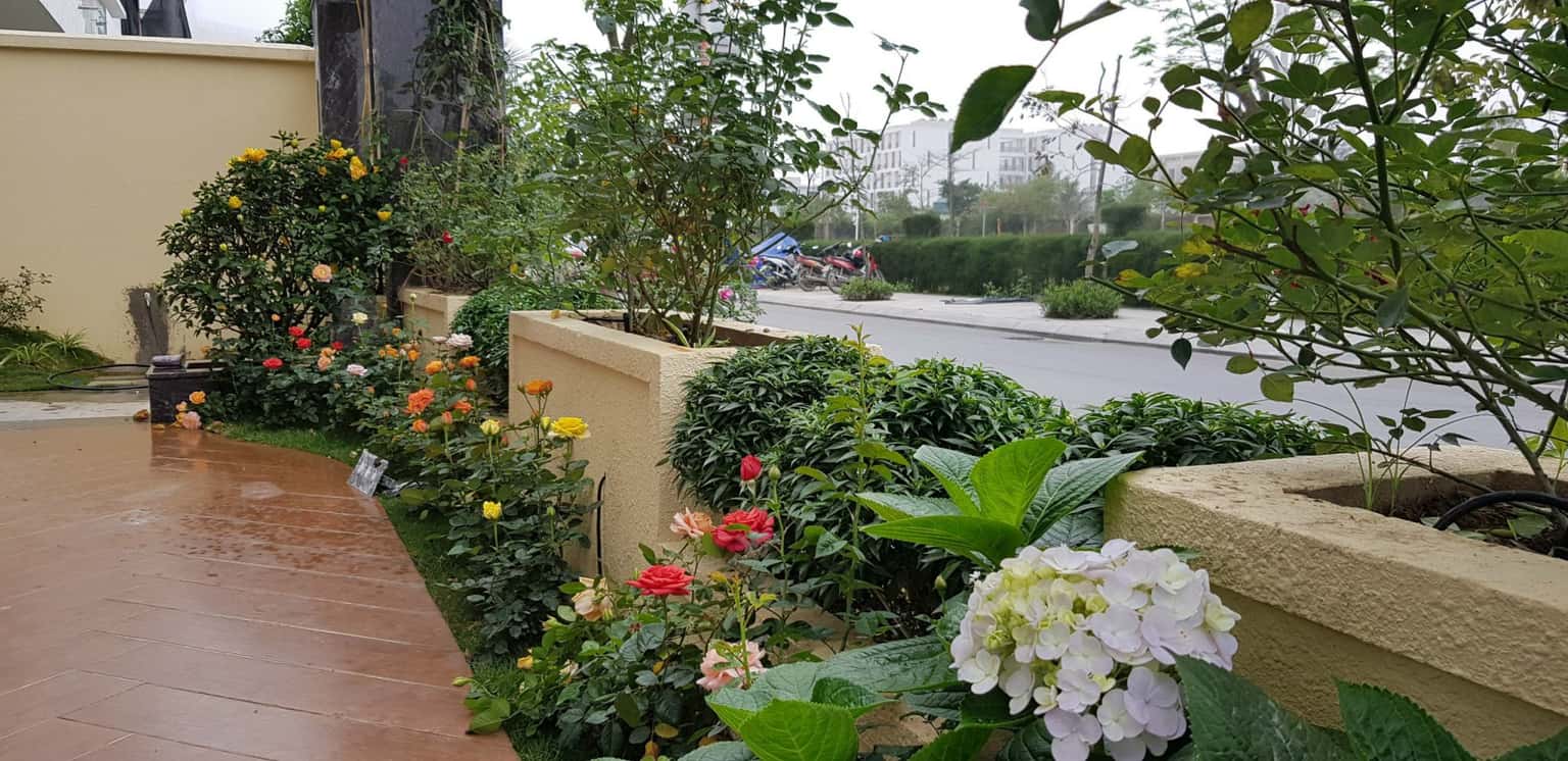 NT123, FLC Sầm Sơn — photo 6