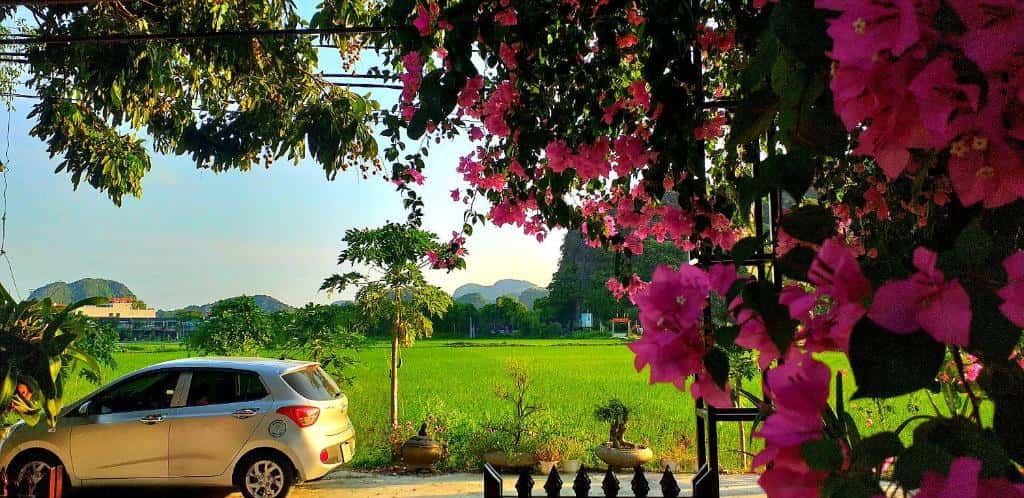 phong double view vuon tam coc sunshine ninh binh