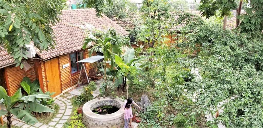 justfly phong king green peace bungalow ninh binh