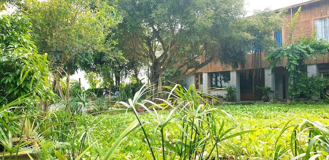 justfly tuyets homestay ninh binh 