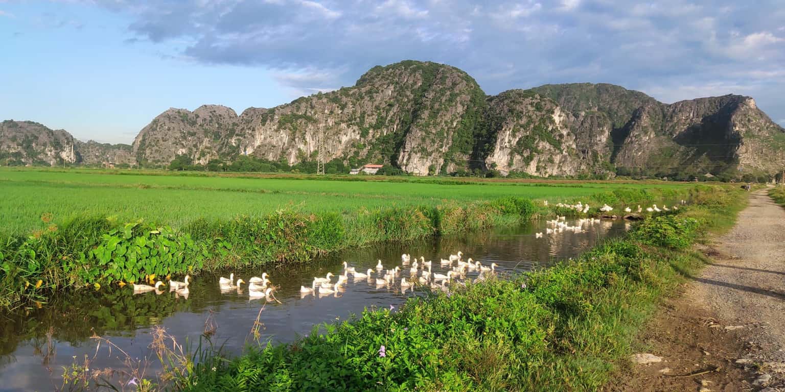 justfly ham rong homestay ninh binh
