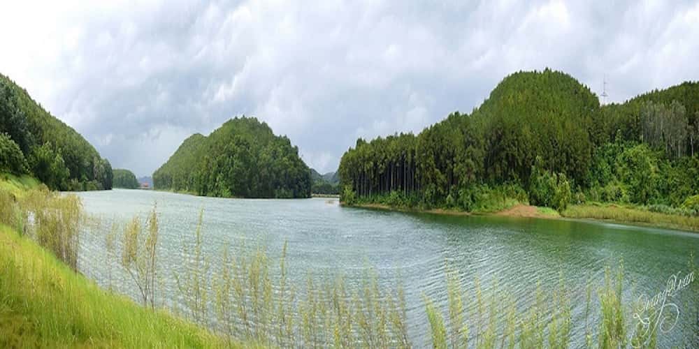 Hồ Đồng Chương, Ninh Bình — ảnh 13
