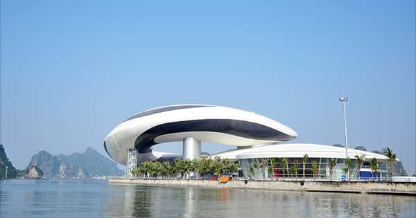 Cung Cá Heo, Hạ Long — ảnh 8