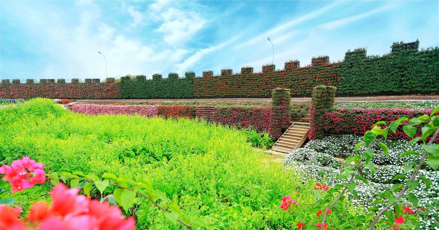 justfly thung lung hoa ho tay hanoi