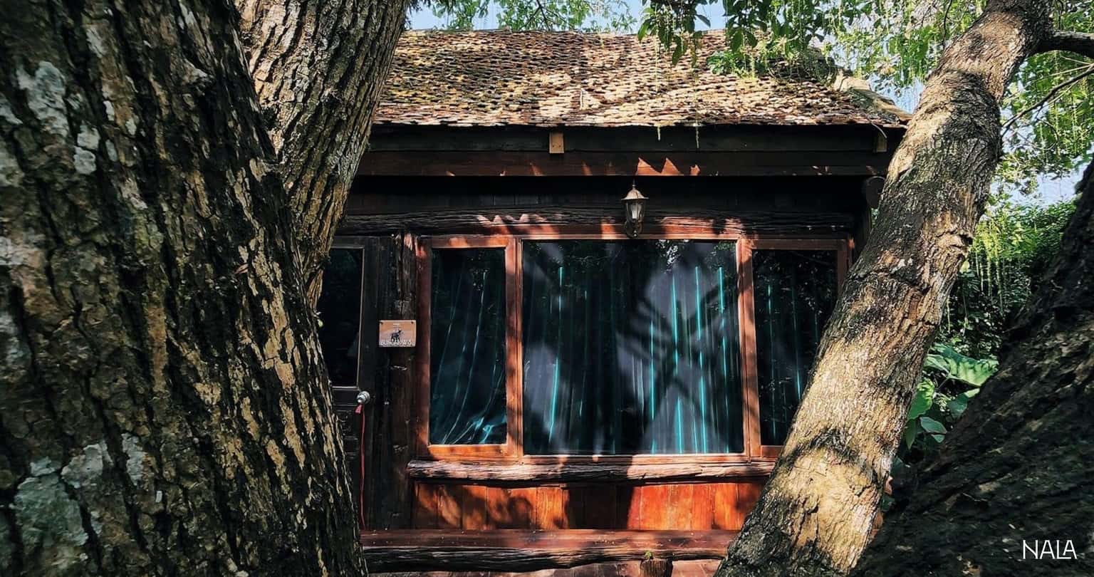 justfly bungalow nala hoa binh