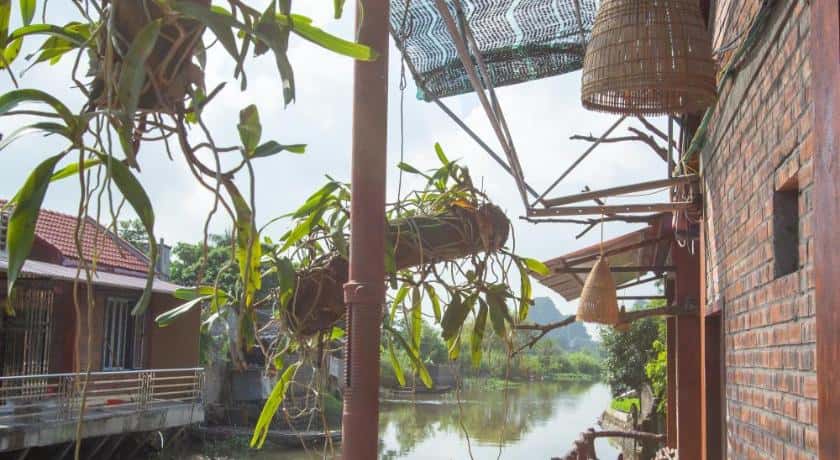 justfly bungalow gia dinh anh huong homestay