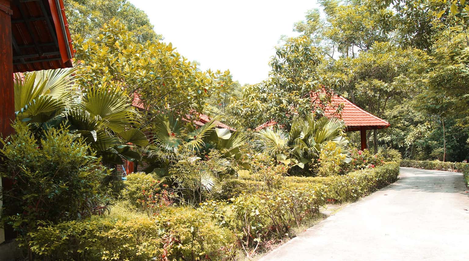justfly hang mua-valley homestay ninh-binh.jpg