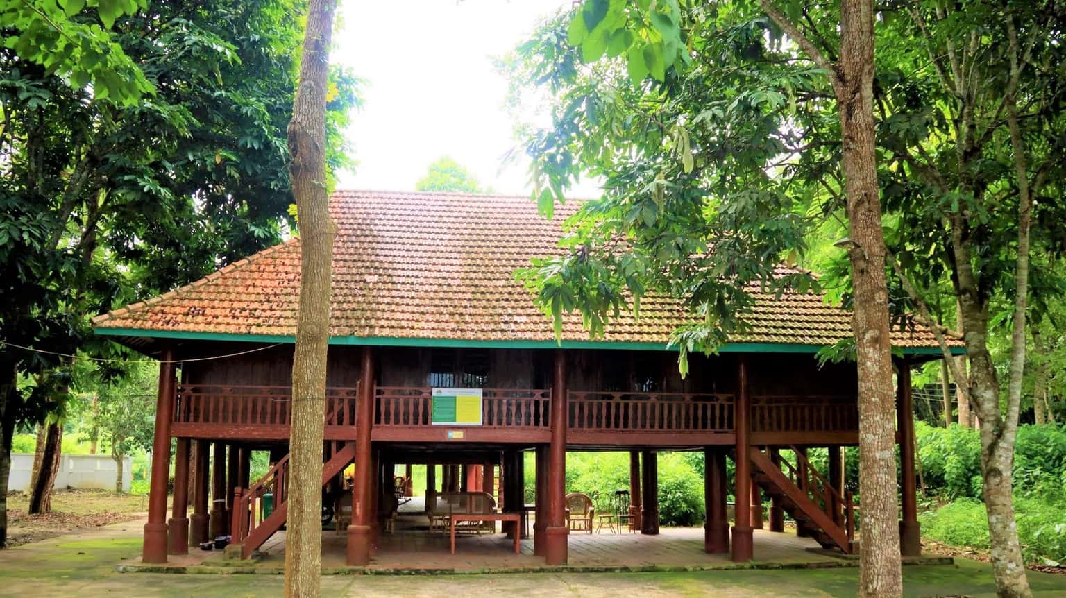 Vườn Quốc gia Cúc Phương, Ninh Bình — ảnh 6