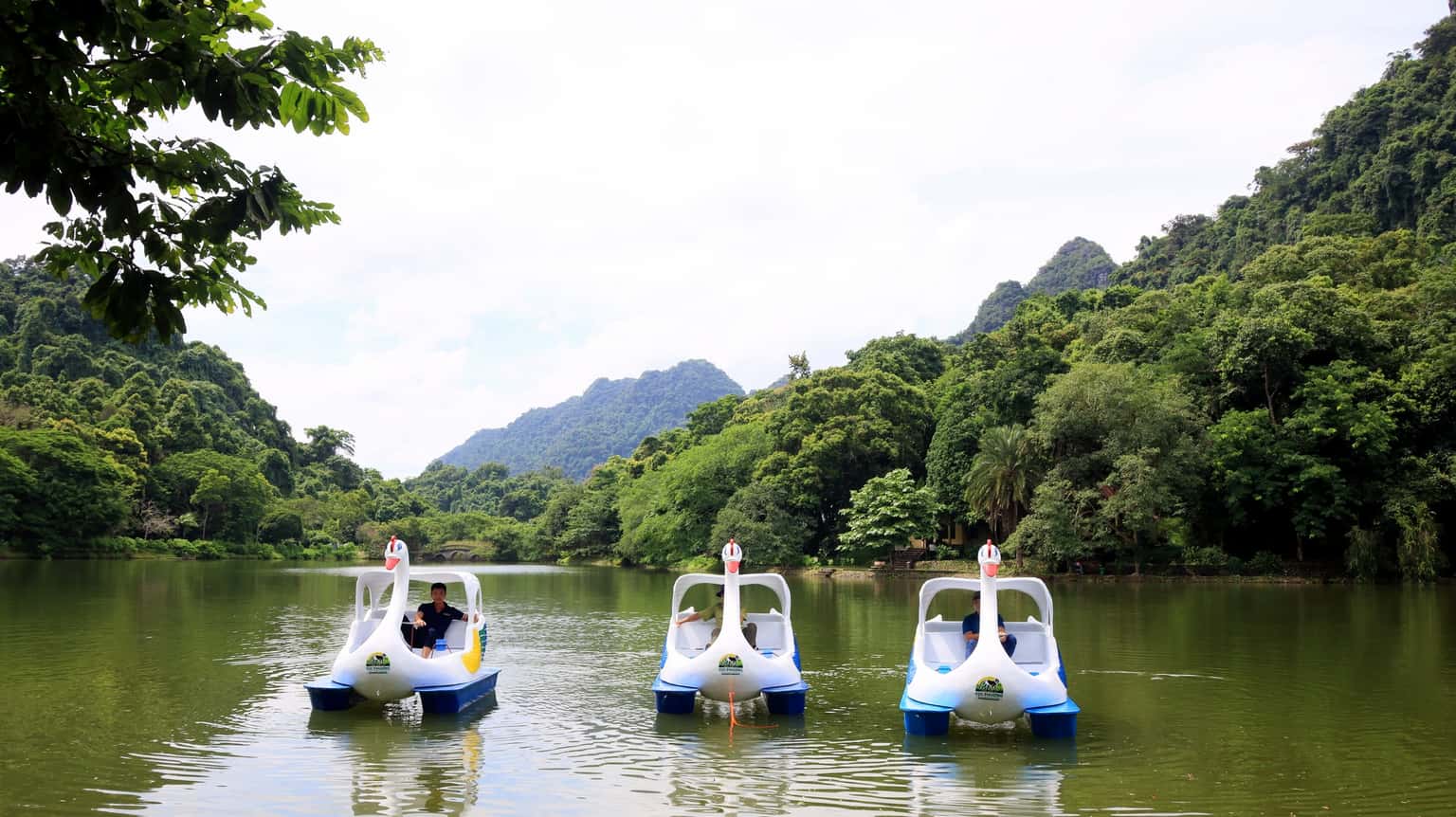 Vườn Quốc gia Cúc Phương, Ninh Bình — ảnh 19