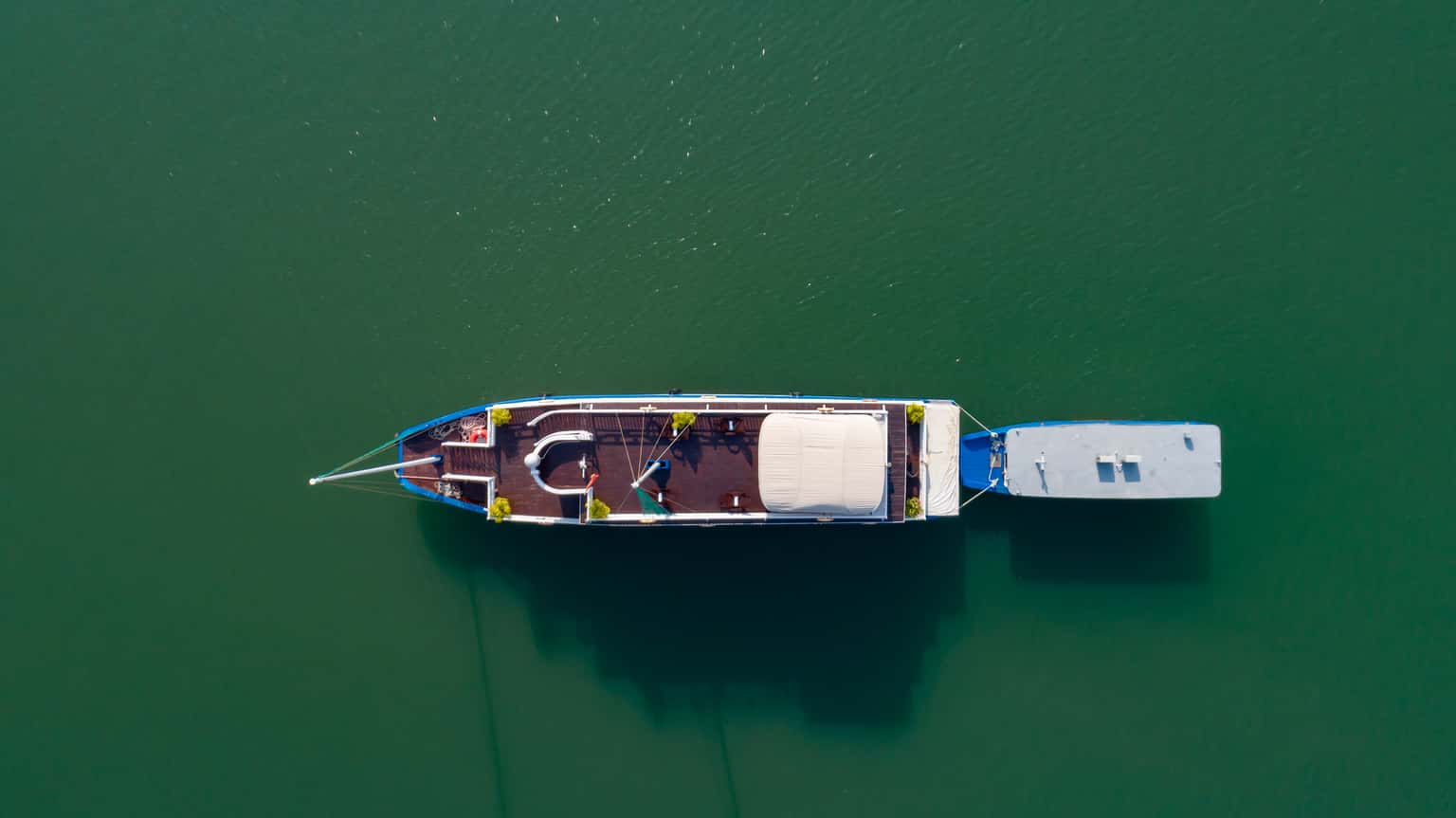 melody cruise la casta ha long