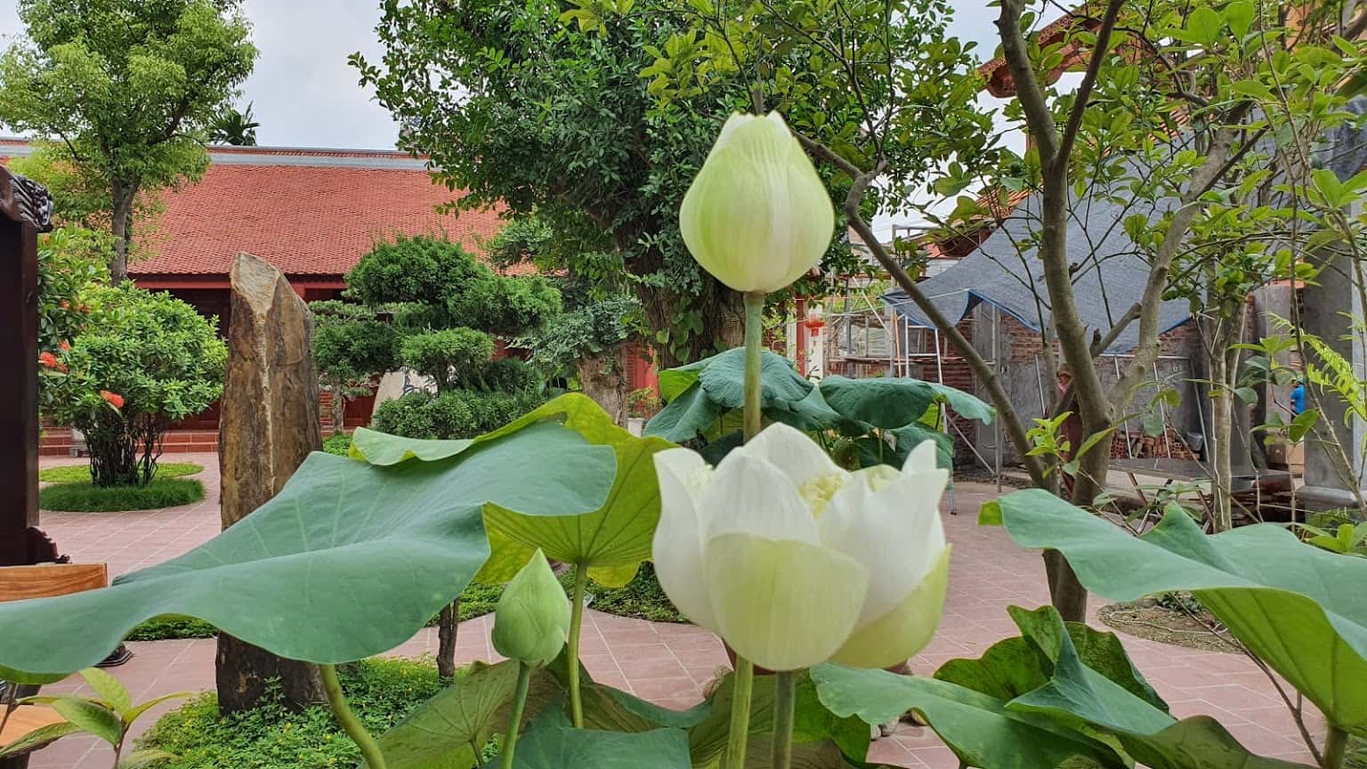 chua duc hau soc son ha noi