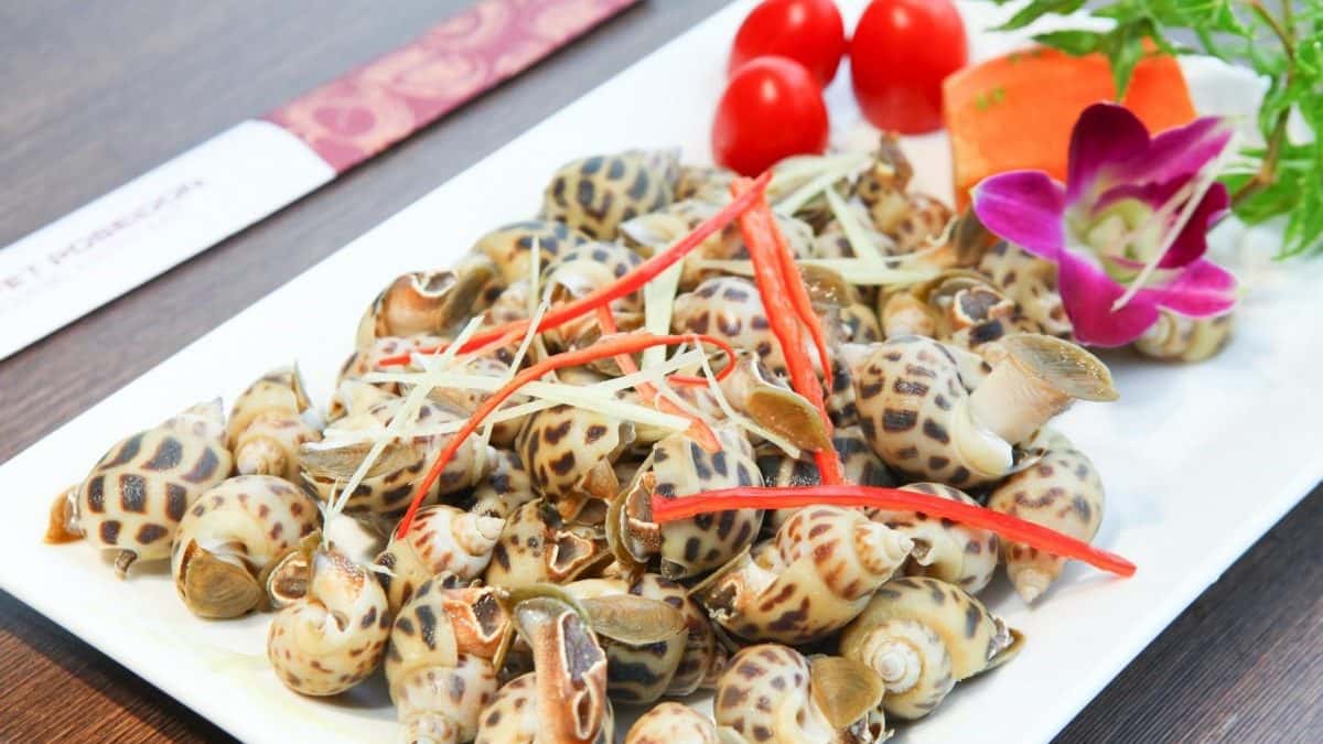 bi kip mua hai san ngon cho xom luoi vung tau