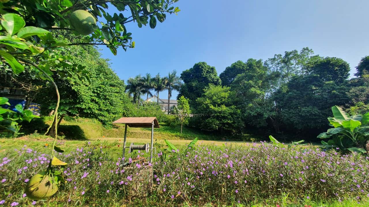 Green Villa, Ba Vì — ảnh 7