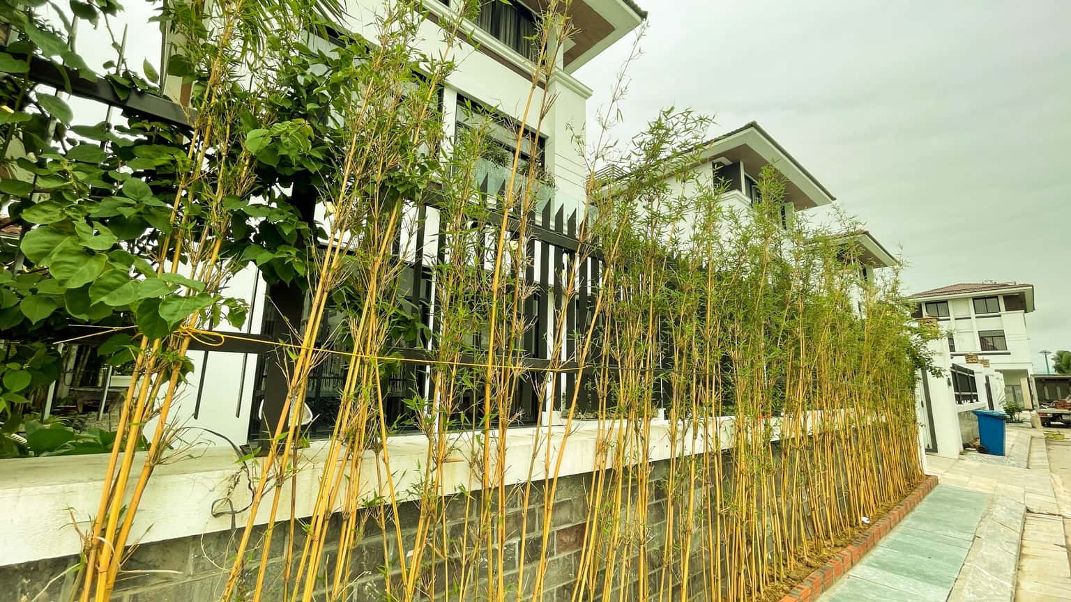 Villa BT6B.37 – FLC Hạ Long, Hòn Gai — photo 12
