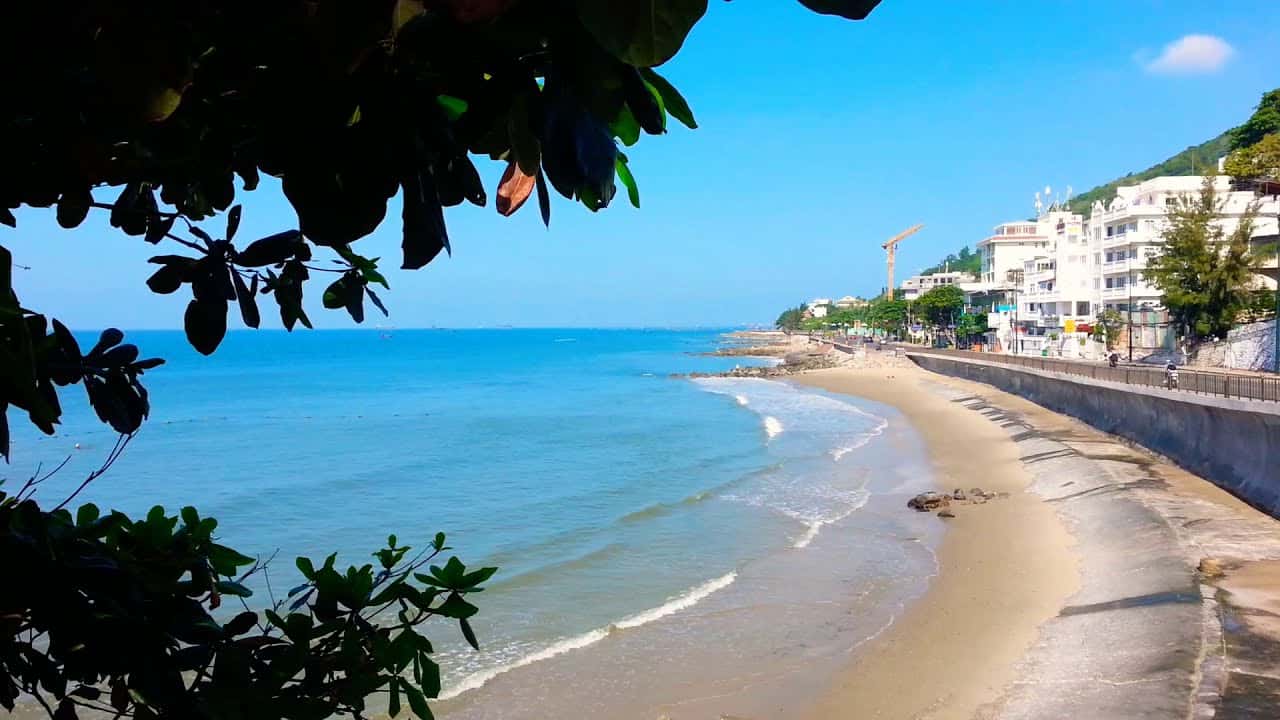 justfly bai dua vung tau