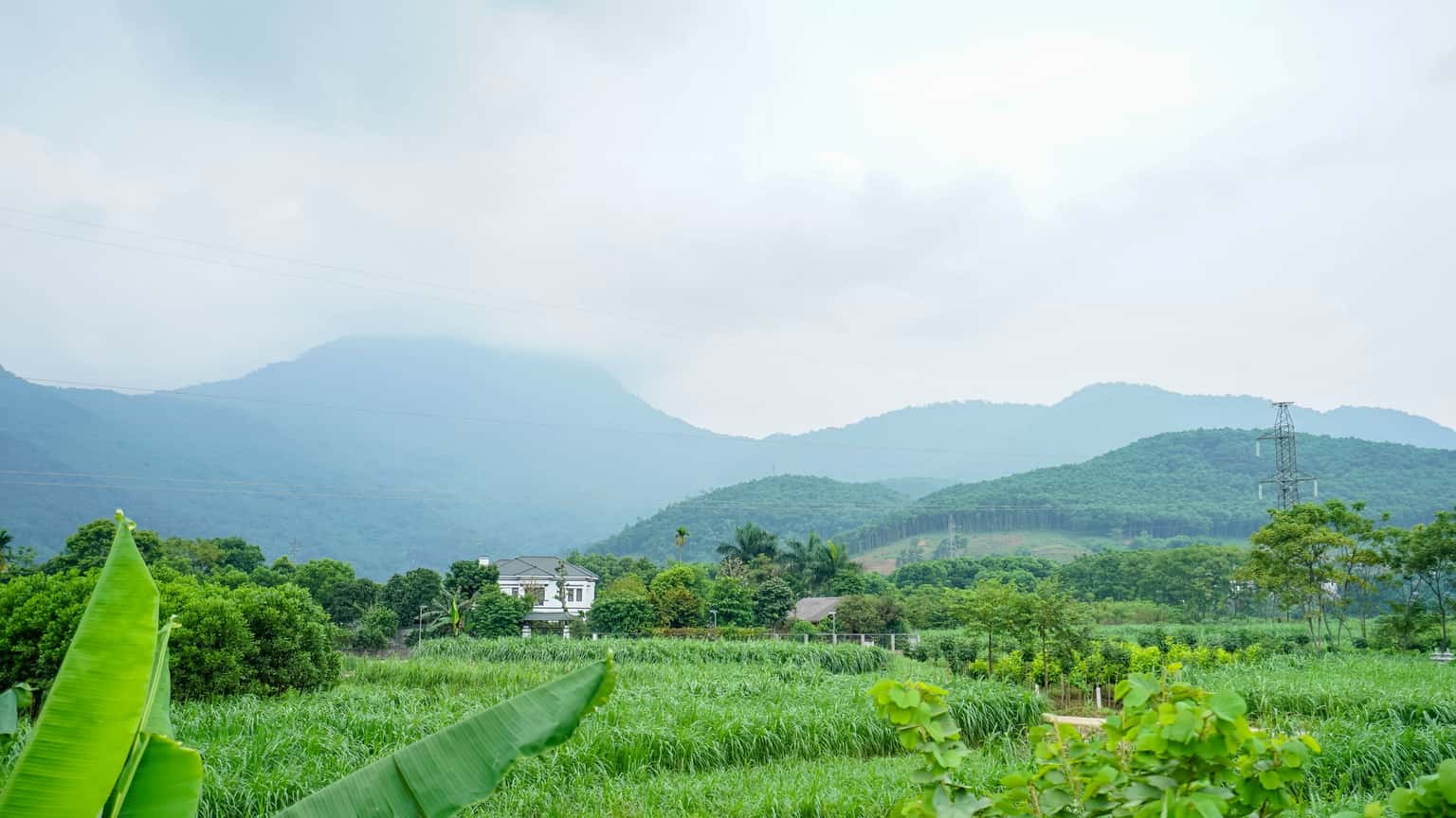myan maison ba vi ha noi