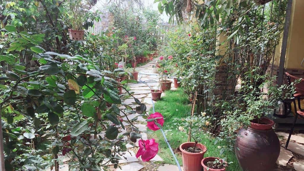 biet thu view vuon rose homestay ninh binh