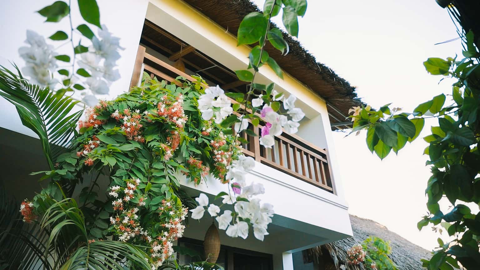 justfly standard twin room nan house ninh binh