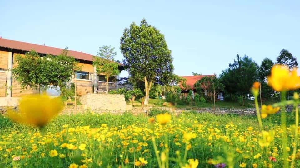 big villa ba vi