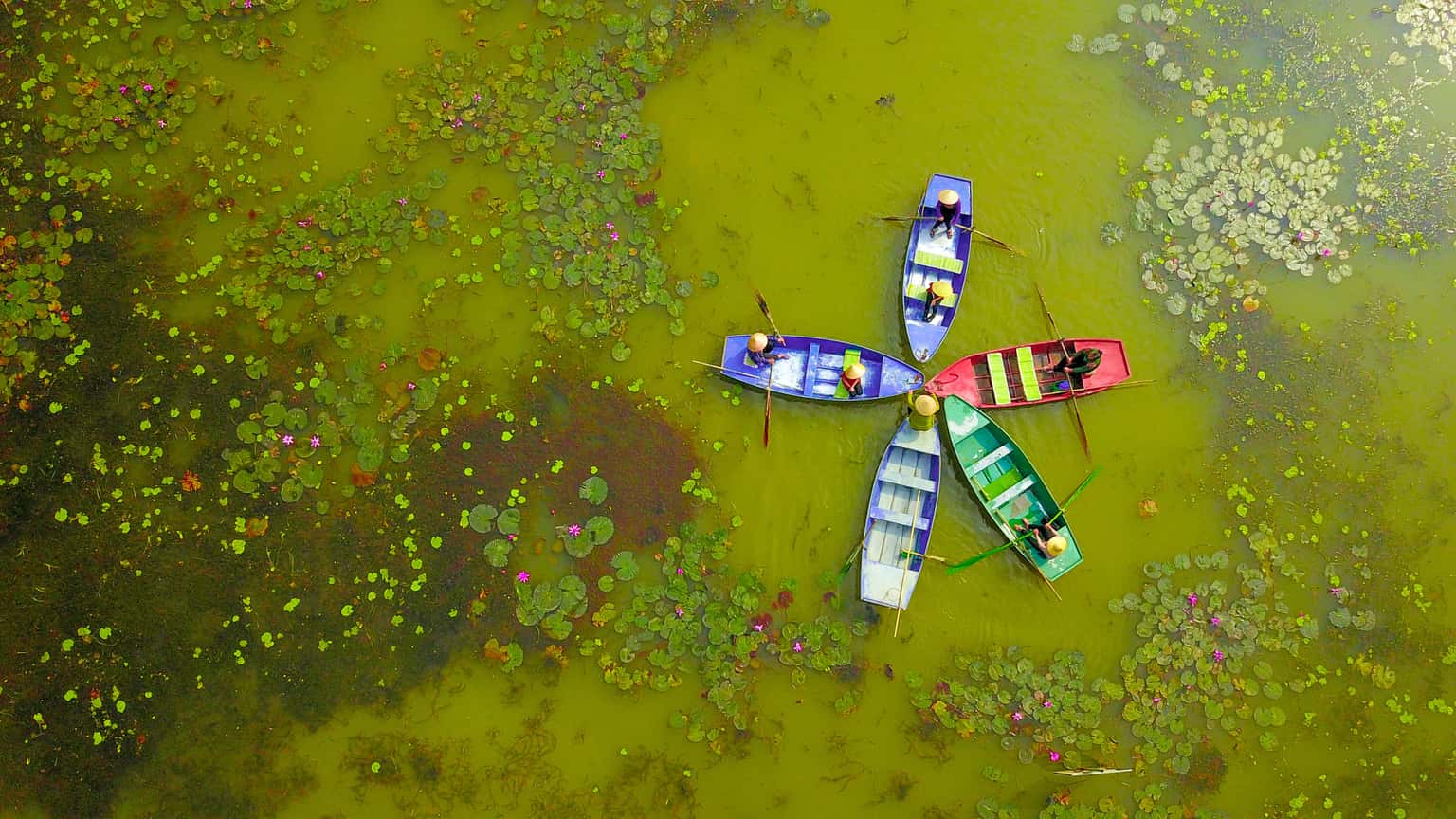 justfly thung nang ninh binh