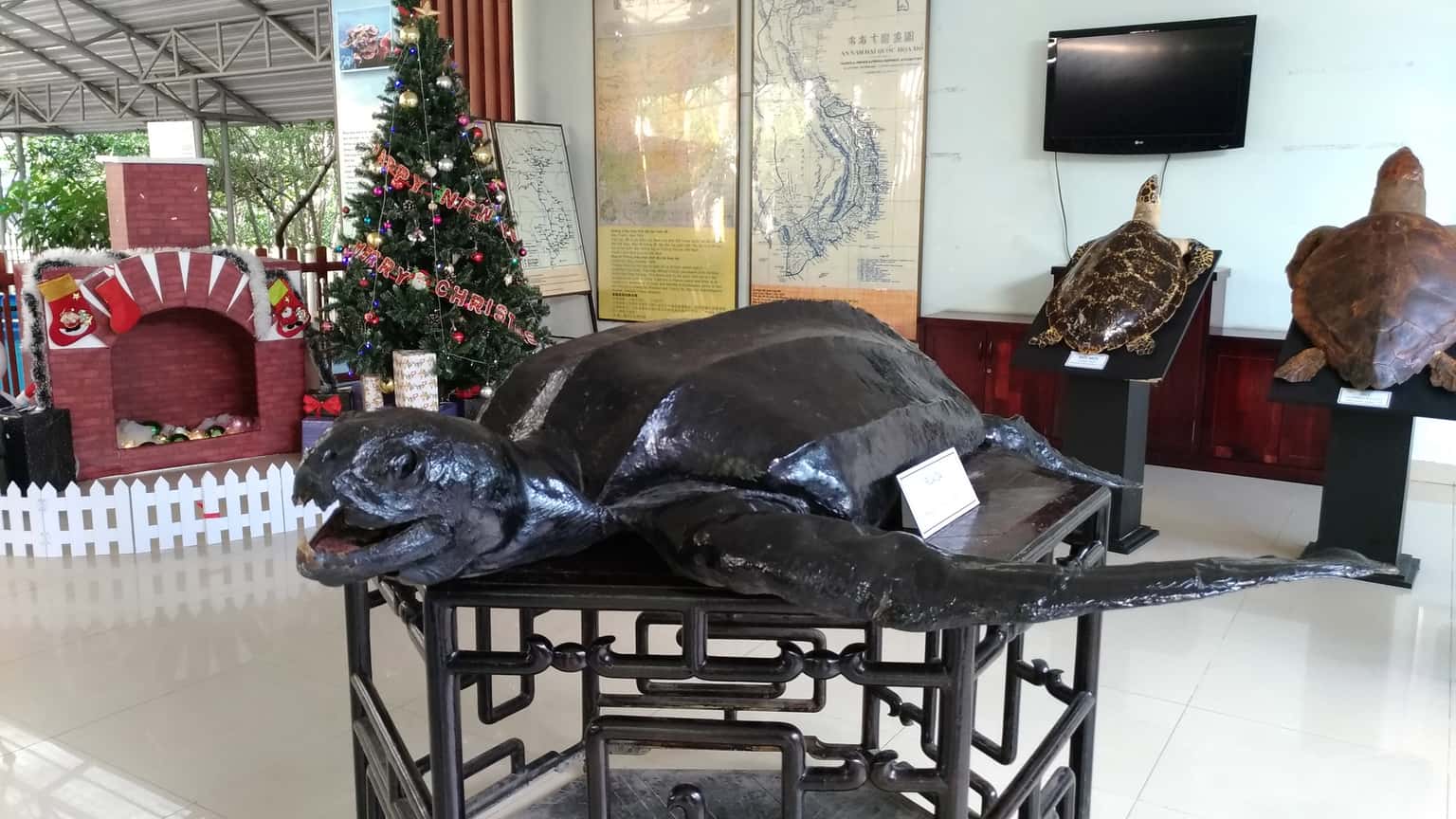vien hai duong hoc nha trang dia diem du lich nha trang attcxr25