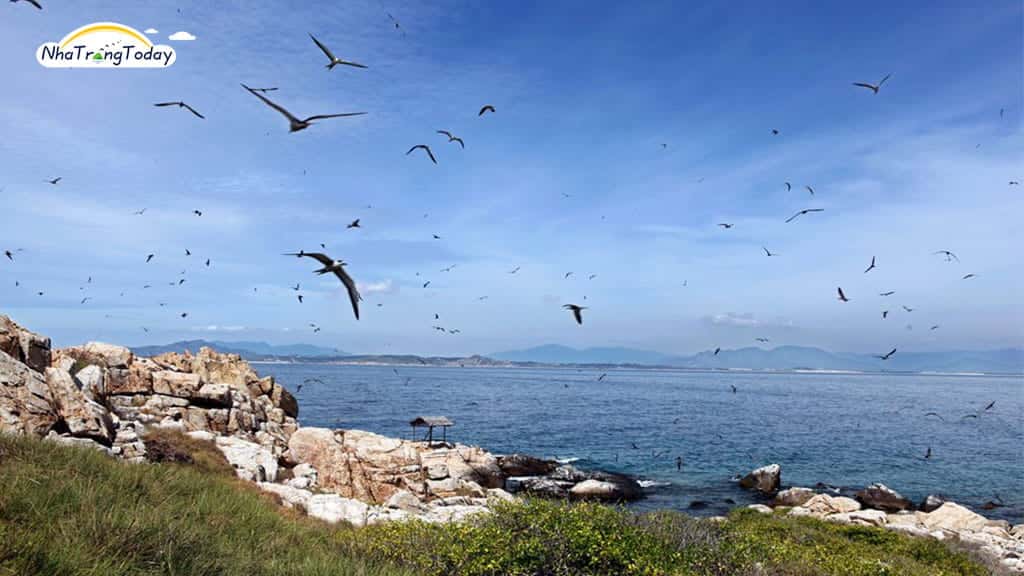 dao yen dia diem du lich nha trang attcxr15