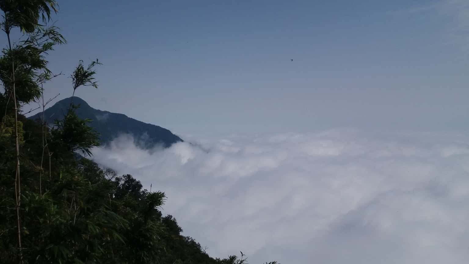 dinh rung rinh tam dao dia diem du lich vinh phuc attvip14