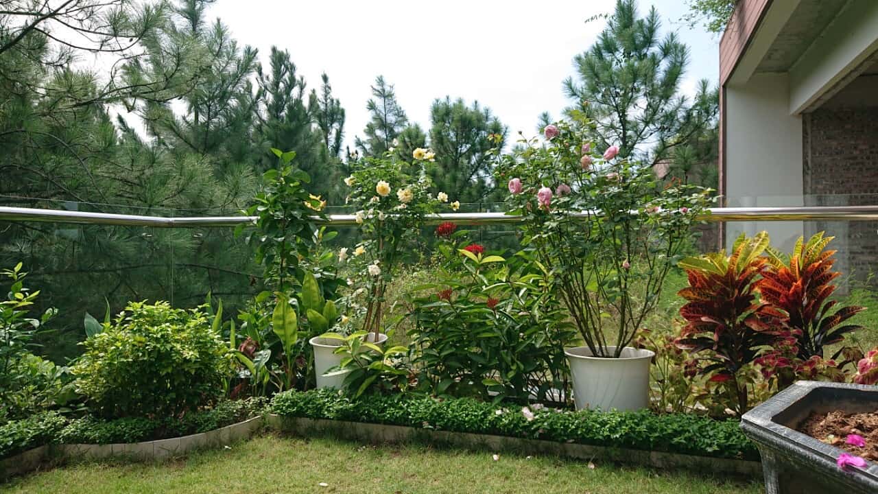 Villa GV05, Flamingo Đại Lải — ảnh 9