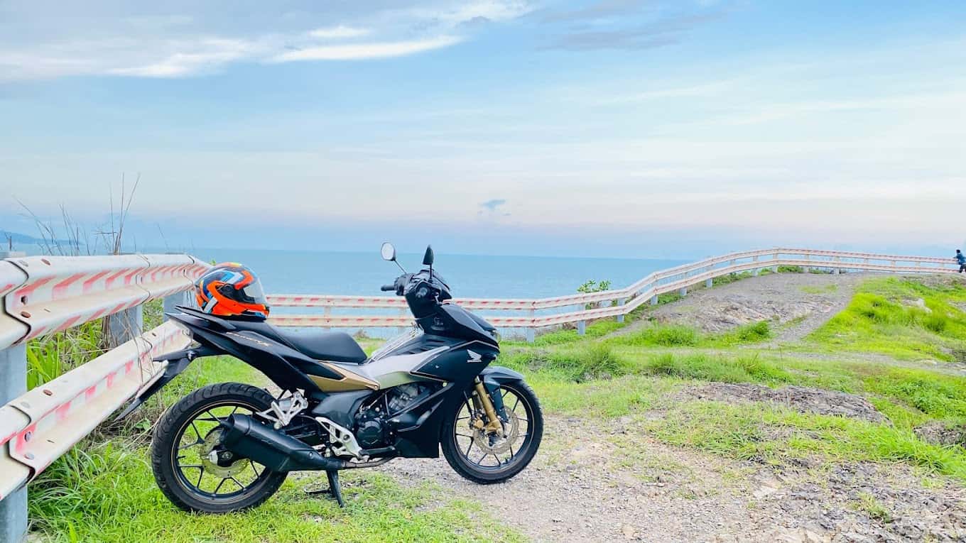 doi con heo vung tau