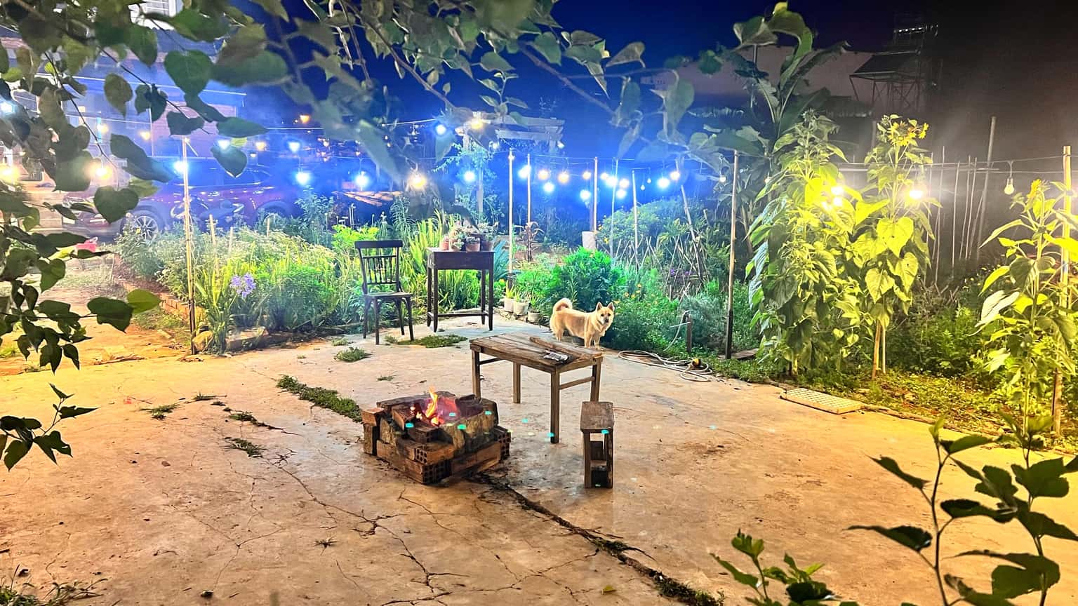 justfly kimi uchi home 52 nguyen an ninh da lat
