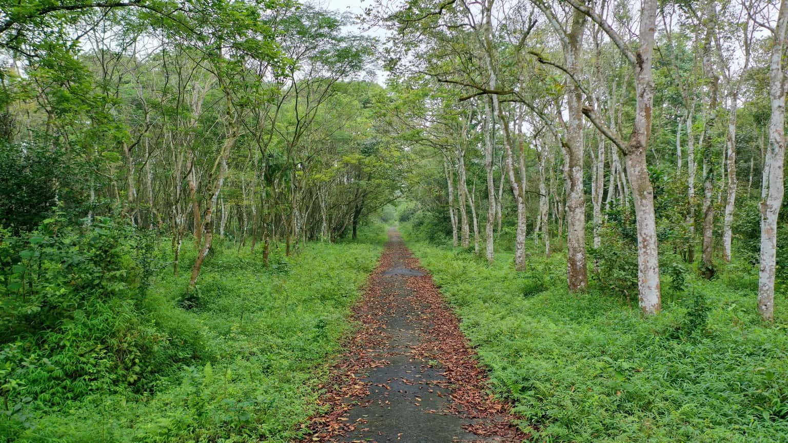 Vườn Quốc gia Cúc Phương, Ninh Bình — ảnh 28