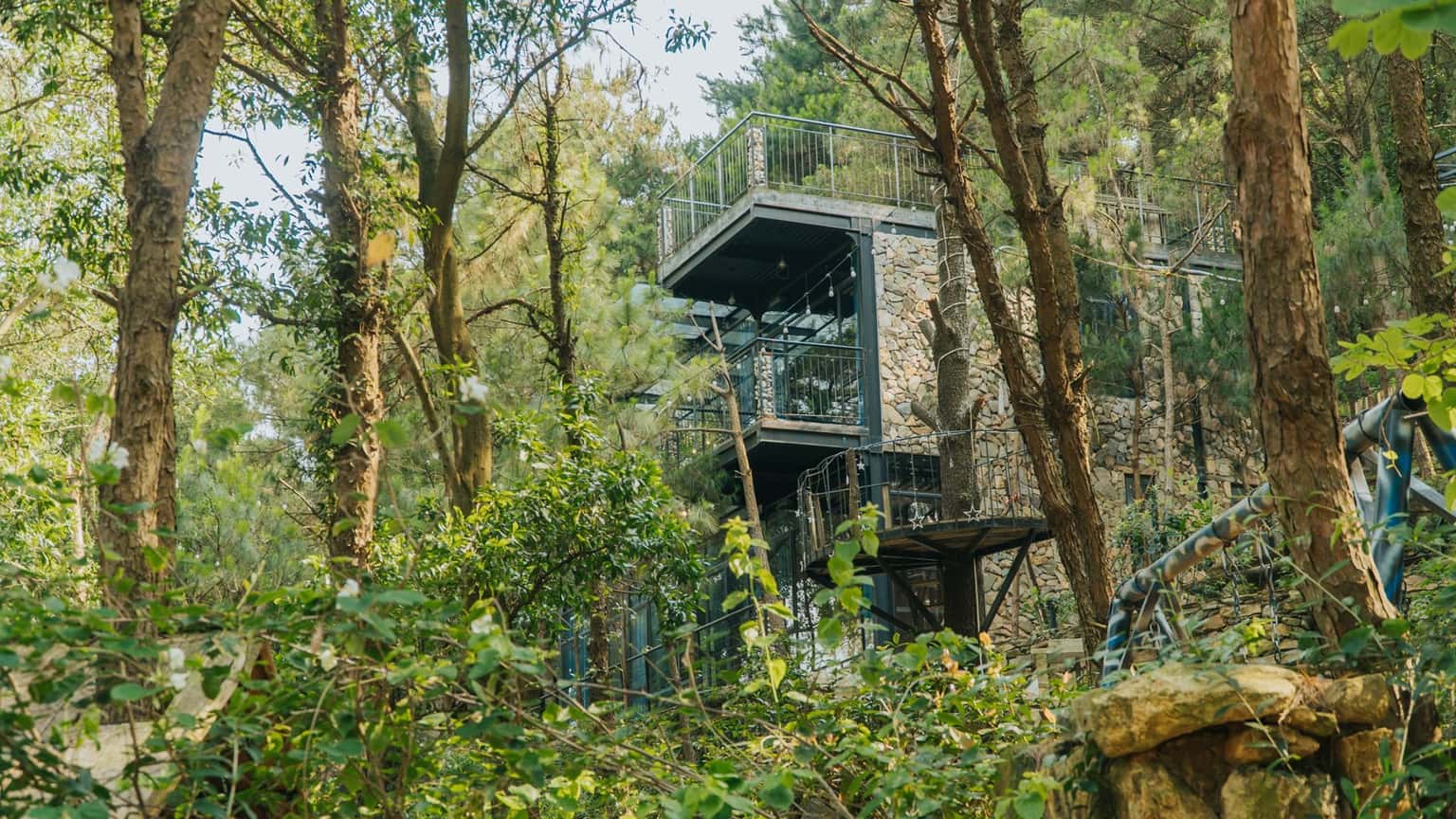 Nhà Kính (Choai Villa) tại Lâm Trường, Sóc Sơn — ảnh 2