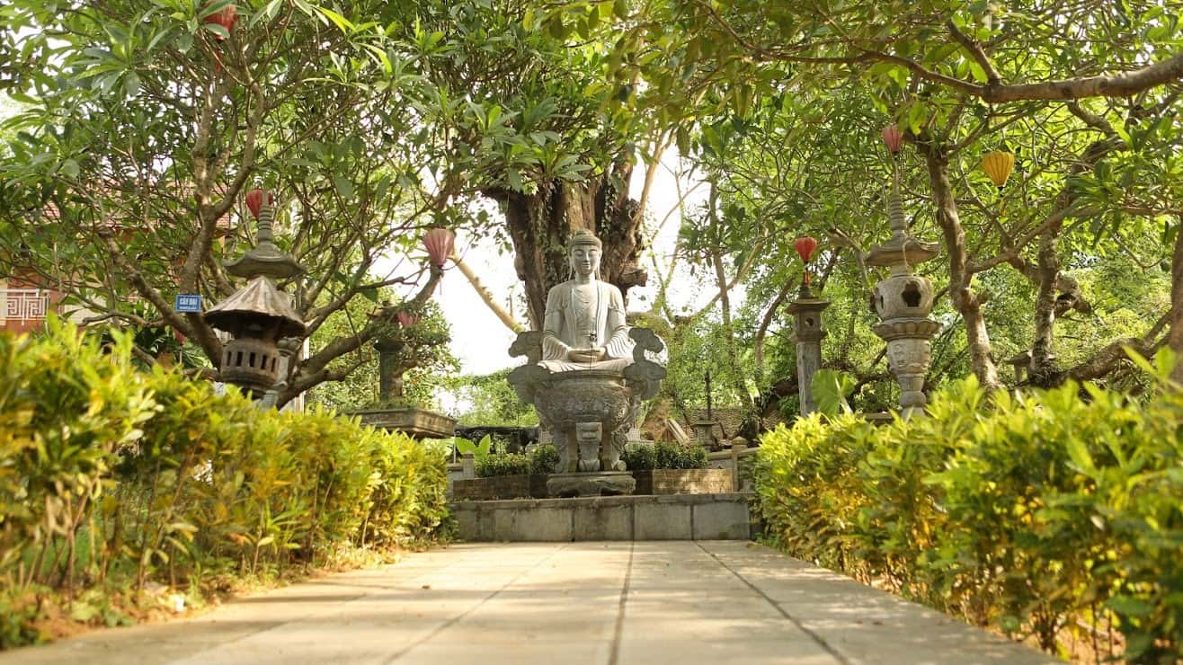 justfly khu du lich sinh thai long viet ba vi hanoi