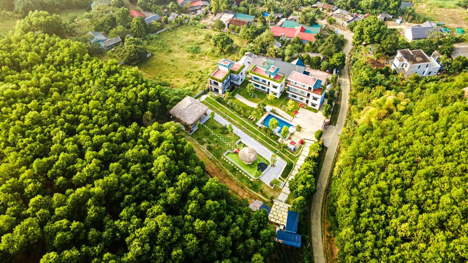 justfly diamond rose homestay ba vi