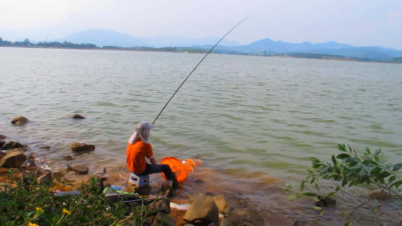 Khu câu cá Flamingo Đại Lải — ảnh 4