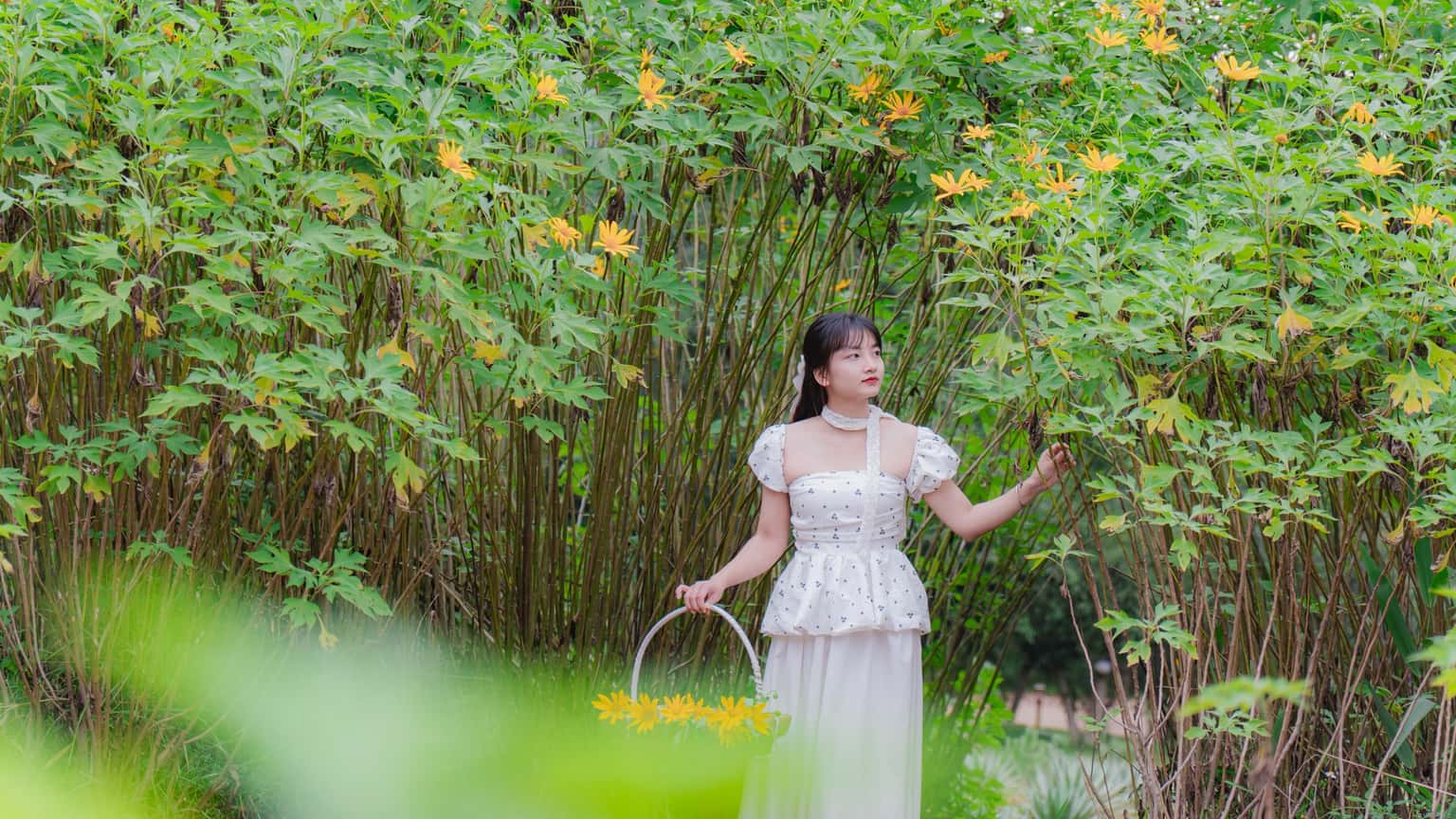 Mơ House (Thung Mây Resort) tại Vân Hòa, Ba Vì — ảnh 45