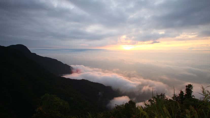 dinh rung rinh tam dao vinh phuc