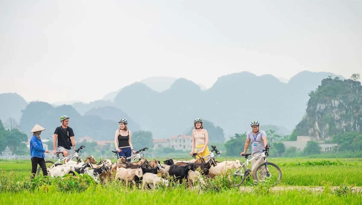 justfly bungalow 4 nguoi view be boi tam coc garden homestay ninh binh