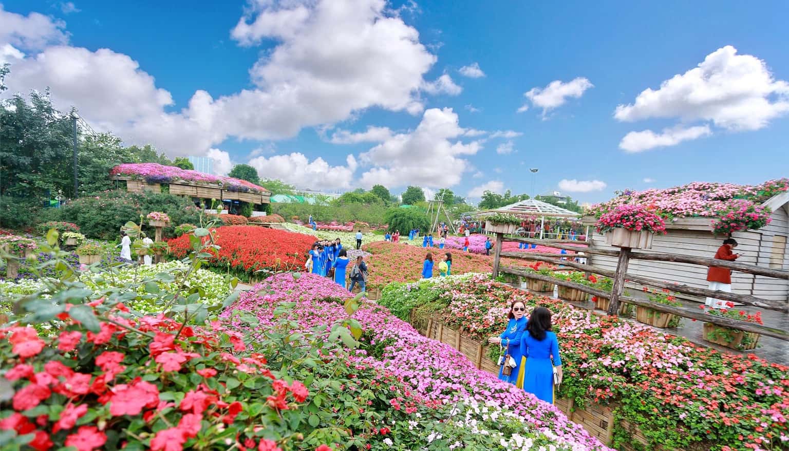 justfly thung lung hoa ho tay hanoi