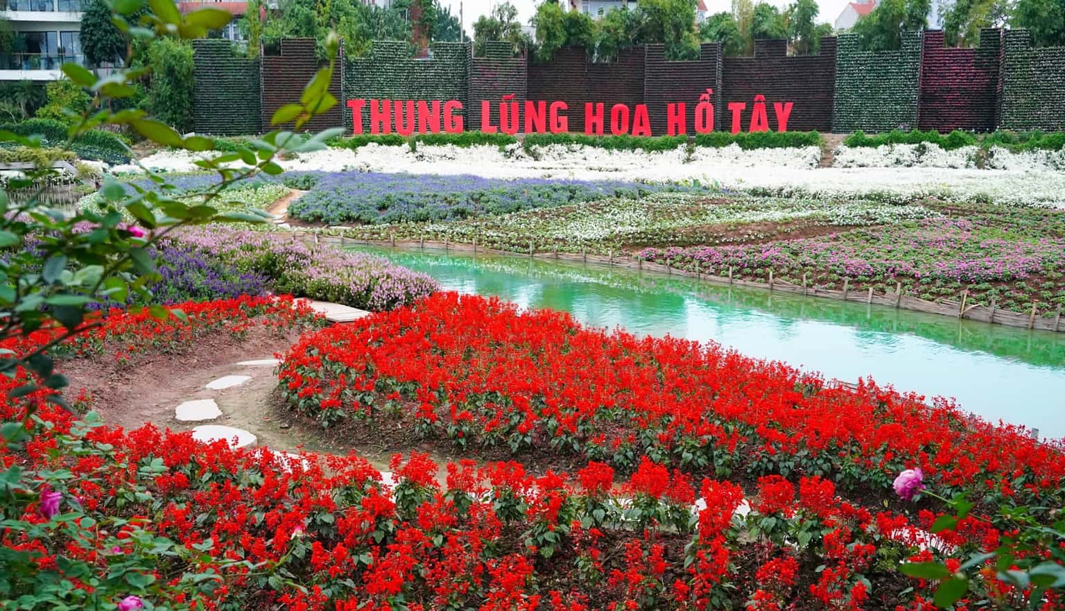 justfly thung lung hoa ho tay hanoi