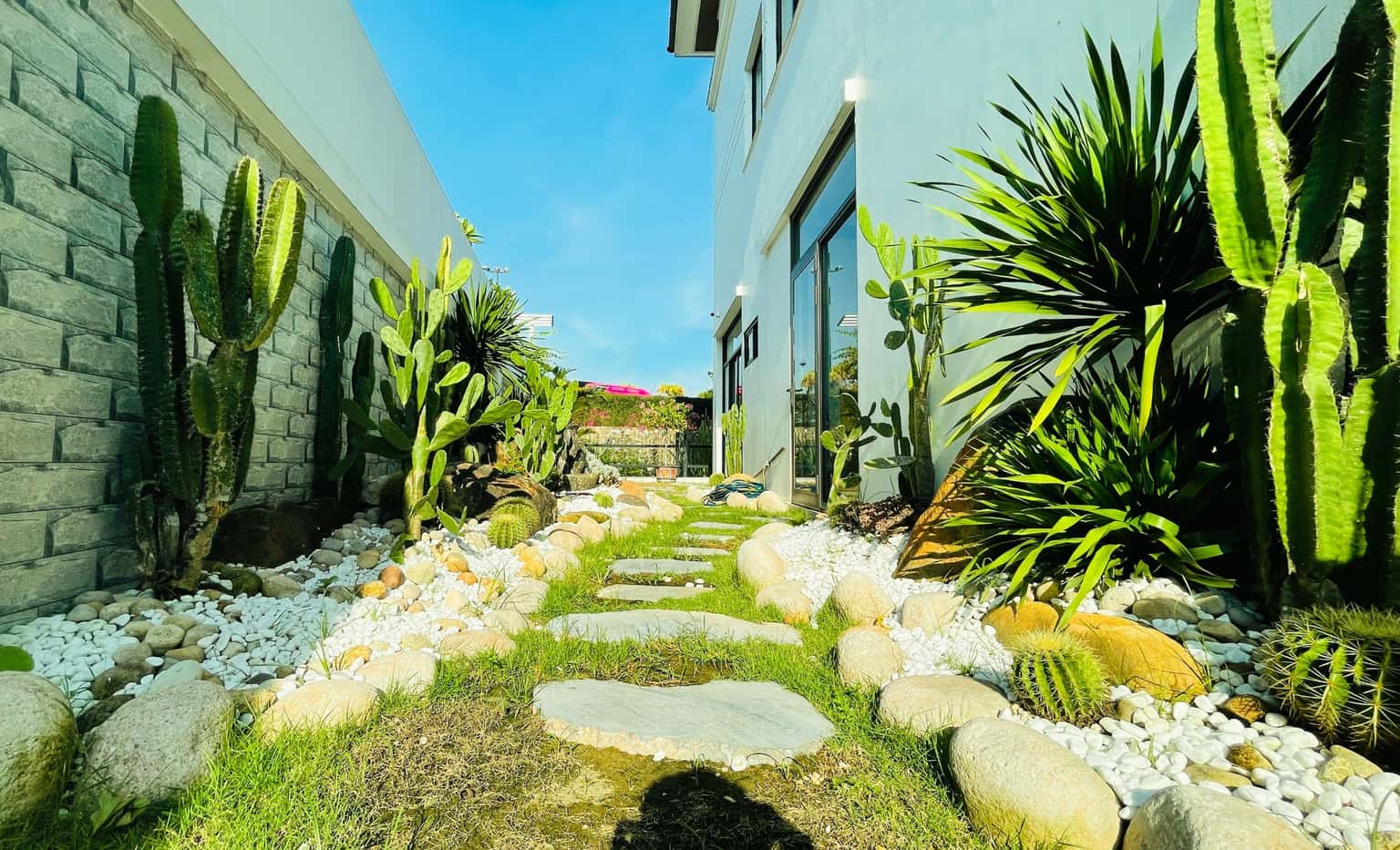 Lush green garden