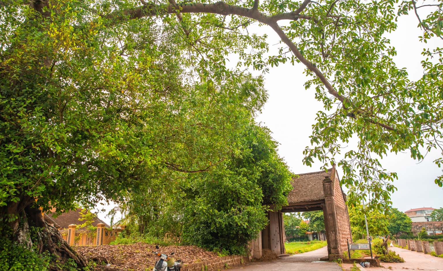 lang co duong lam son tay dia diem du lich ha noi atthan82