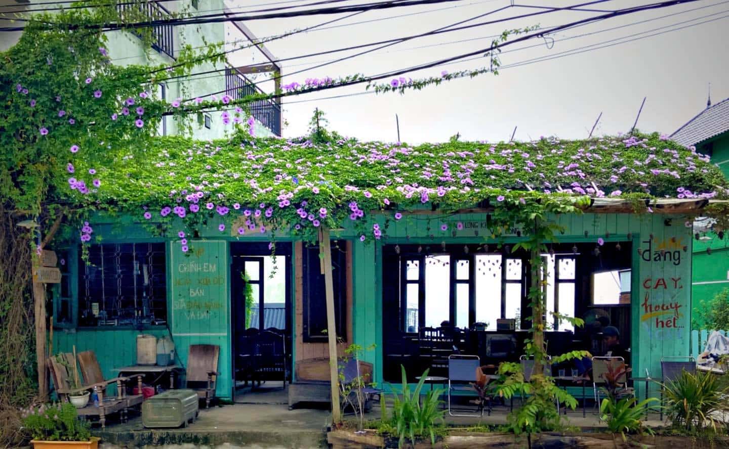 thanh xuan nha cua tuoi thanh xuan tam dao