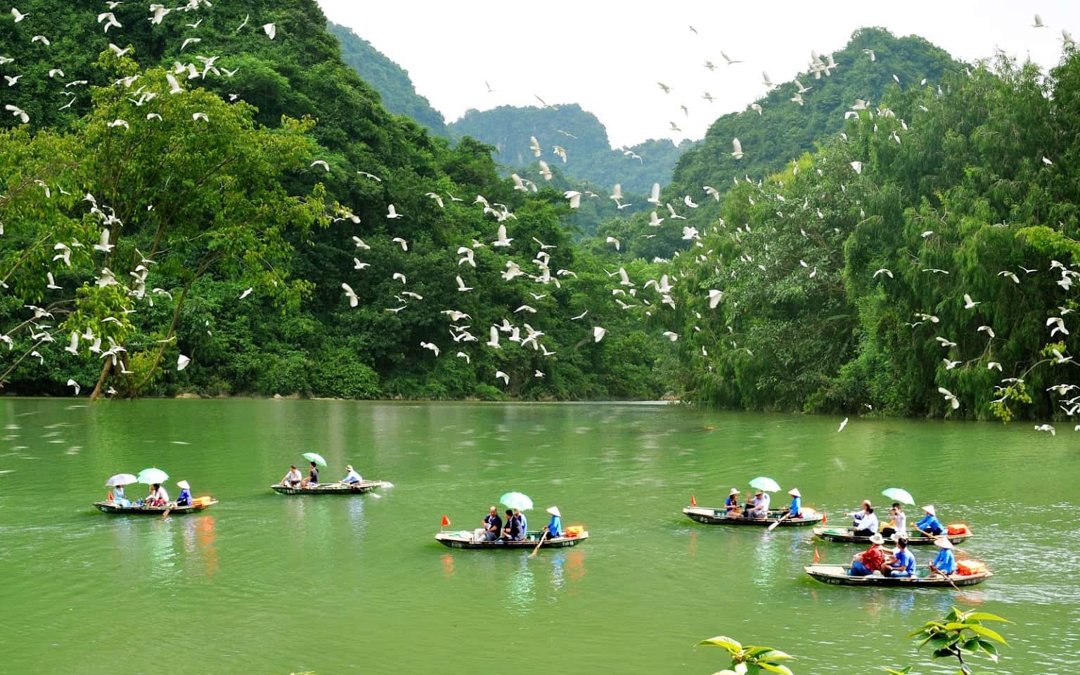 vuon chim thung nham trang an ninh binh