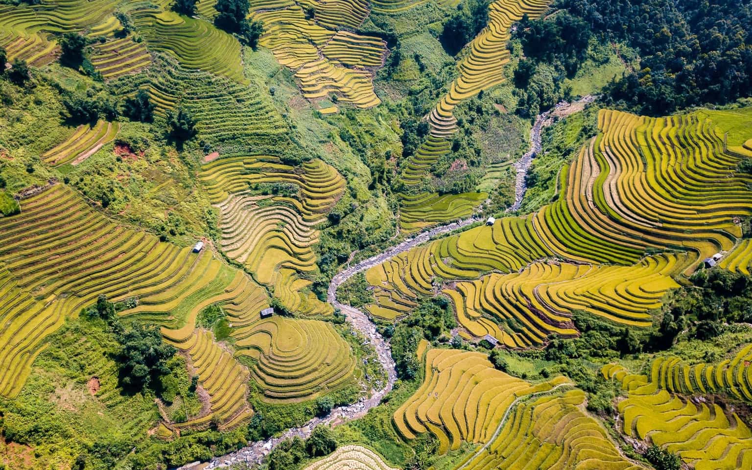 Mù Cang Chải Mùa Lúa Chín (3N2Đ)