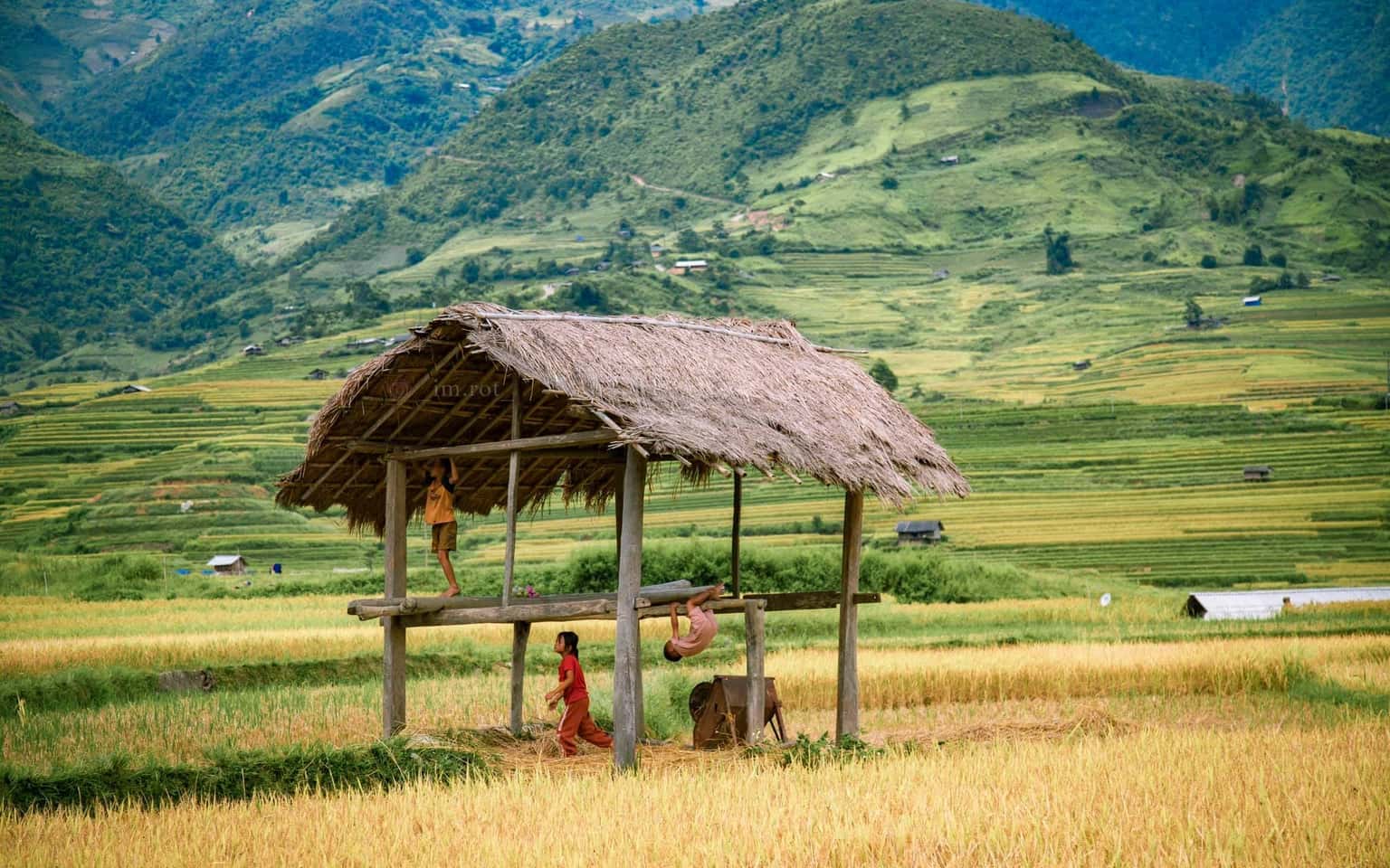 Mù Cang Chải Mùa Lúa Chín (3N2Đ)