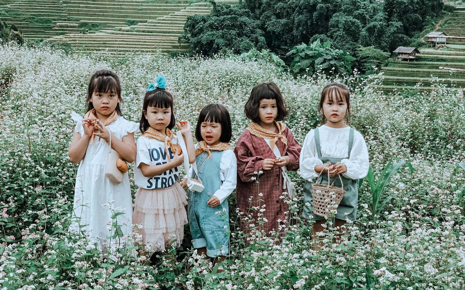 Mù Cang Chải Mùa Lúa Chín (3N2Đ)